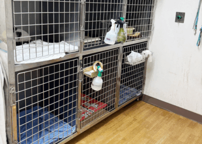 かとう動物病院（市原市）の院内ゲージ