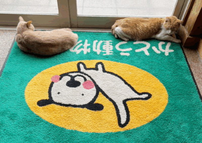 かとう動物病院（市原市）の玄関風景