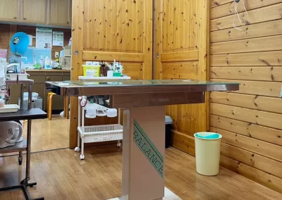 かとう動物病院（市原市）の診察台